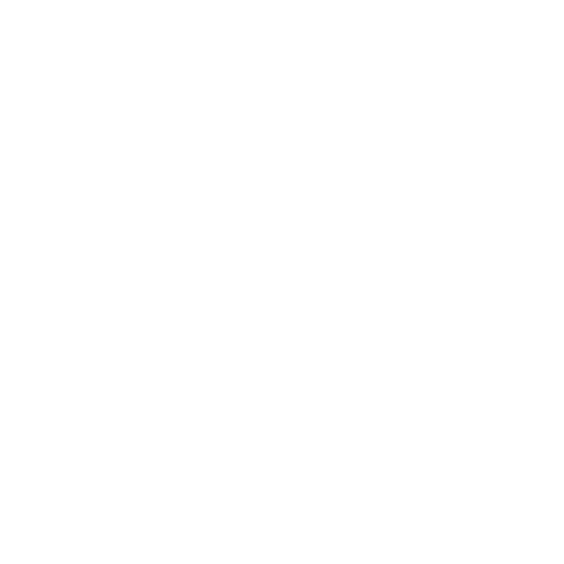Data Leadership Index icon
