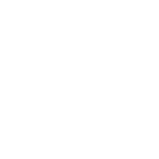 Loi 25 compliance icon